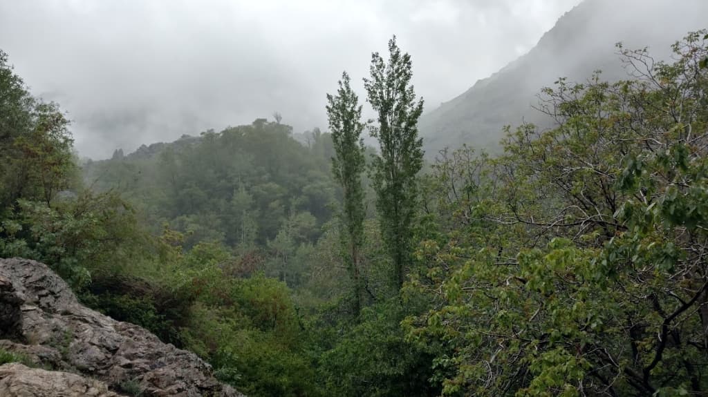 Misty mountain in village